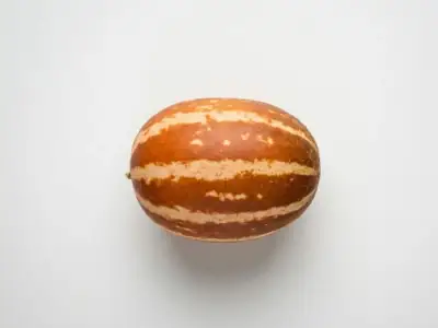 Melón de Ho Chi Minh maduro, con la coloración característica